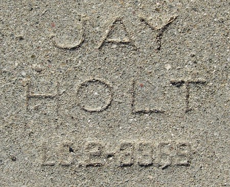 jay holt