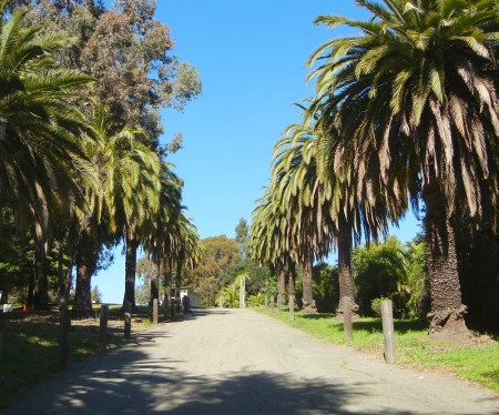 centralreservoirparkallee