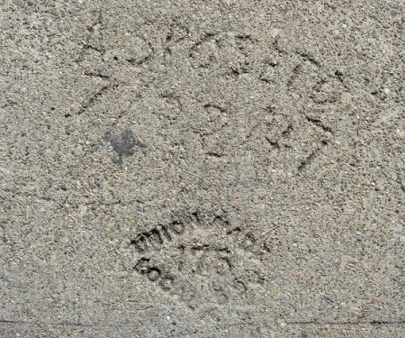 union-bug-175-sposeto